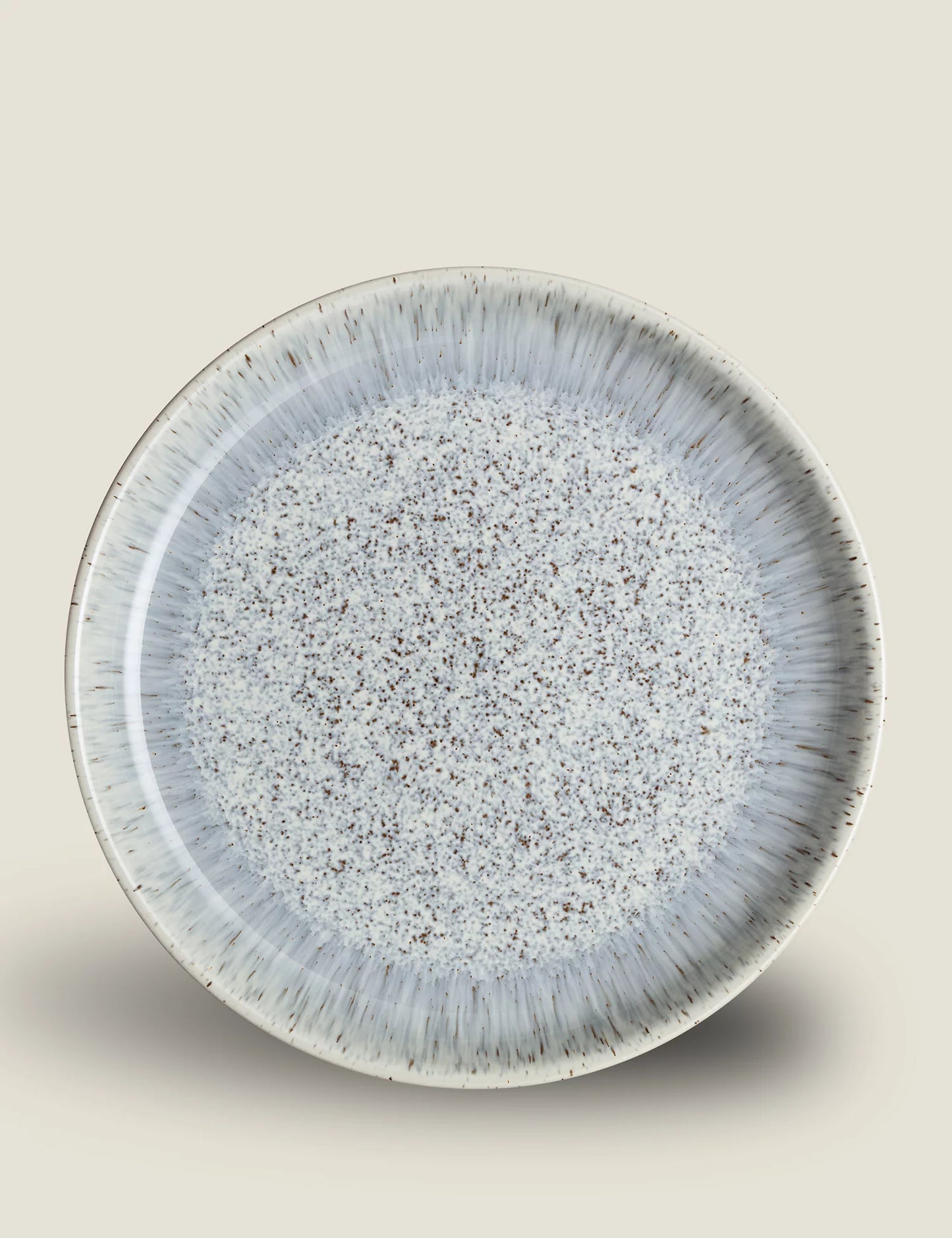 Set of 4 Halo Speckle Dinner Plates