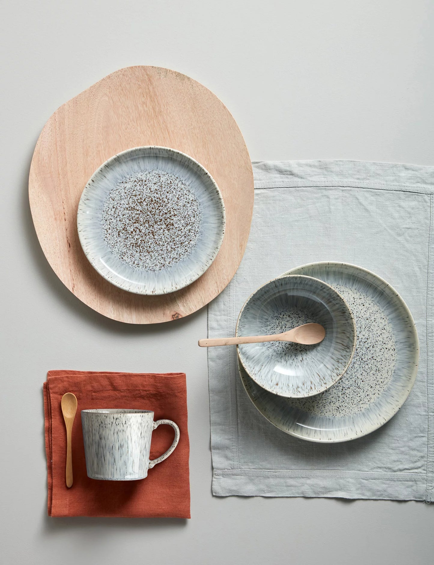 Set of 4 Halo Speckle Dinner Plates